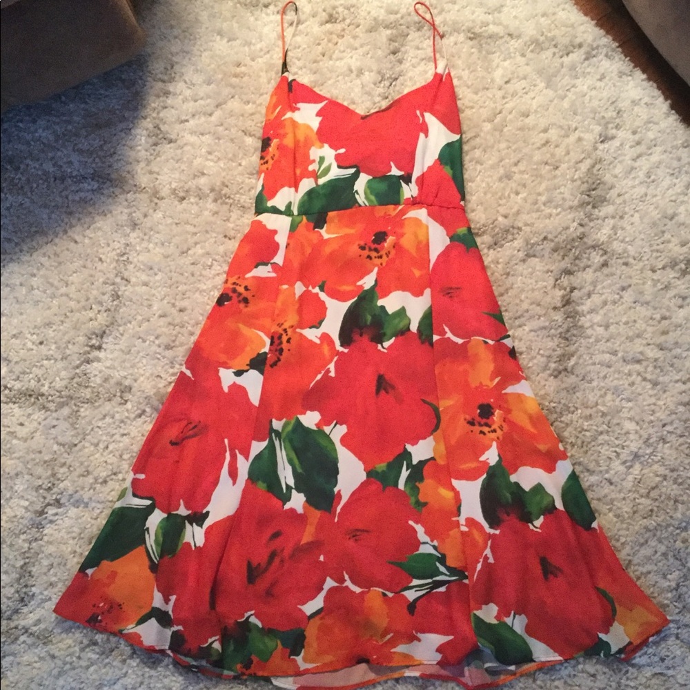 Zara basic collection floral print dress